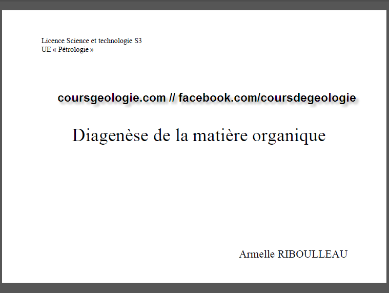 Diagénèse de la matière organique