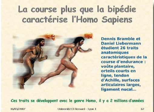 Évolution paléoanthropologique du rachis de l'homo sapiens