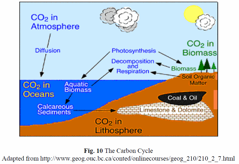 Fig 10: The carbon cycle