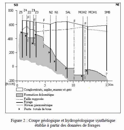Figure 2: Coupe géologique et hydrogéologique synthétique établie à partir des données de forage