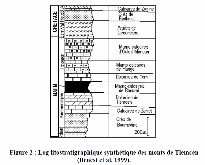 Figure 2: Log litostratigraphique synthétique des monts de Tlemcen (Benest et al. 1999)