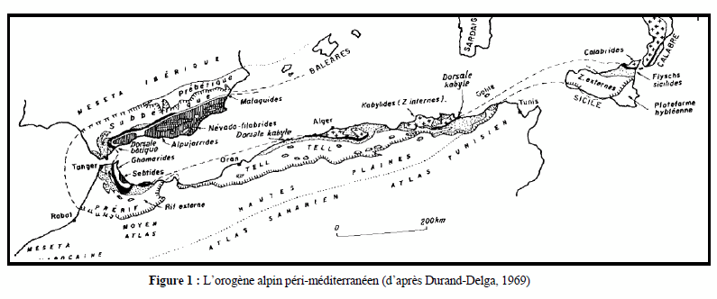 Figure 1: L'orogène alpin péri-méditerranéen (d'après Durand-Delga, 1969)