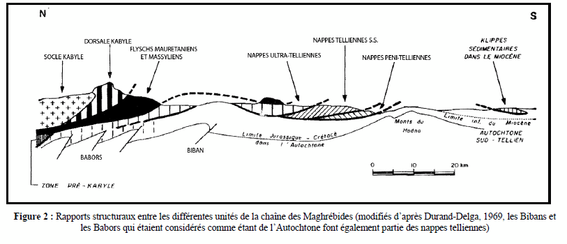Figure 2: Rapports structuraux entre les différentes unités de la chaine des Maghrébides