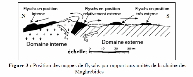 Figure 3: Position des nappes de flyschs par rapport aux unités de la chaine des Maghrébides