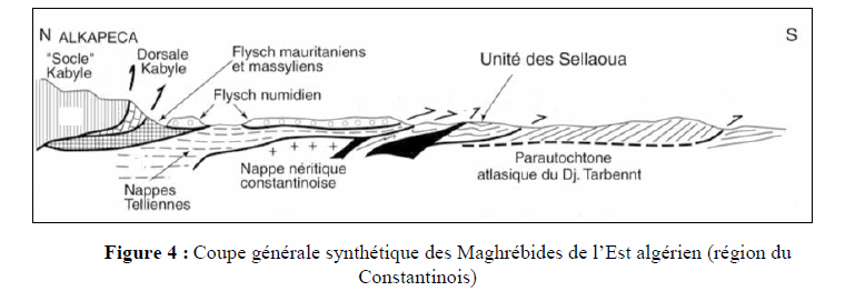 Figure 4: Coupe générale synthétique des Maghrébides de l'Est algérien (région du Constantinois)