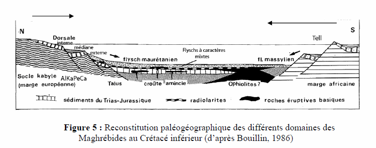 Figure 5: Reconstitution paléogéographique des différents domaines des Maghrébides du Crétacé inférieur&nbsp;