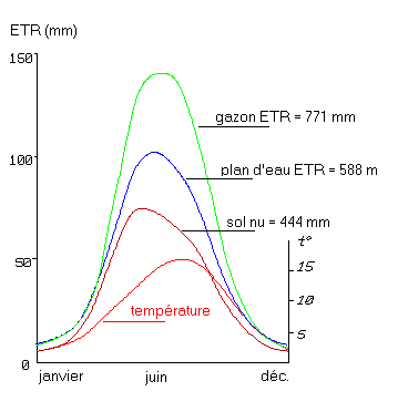 Figure 1:&nbsp;Evapo-Transpiration Réelle&nbsp;mesurée sur des parcelles aux Pays-Bas&nbsp;(d'après Lambert, 1996)