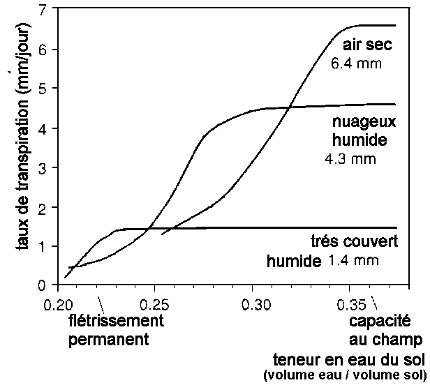 Figure 2b: Transpiration du maïs en fonction de la teneur en eau du sol et de l'humidité de l'air (d'après ROWELL, 1994)