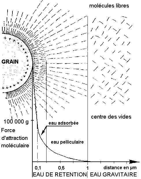 Figure 8: différents types d'eau au voisinage d'un grain dans un aquifère (Polubrina-Kochina in Castany)