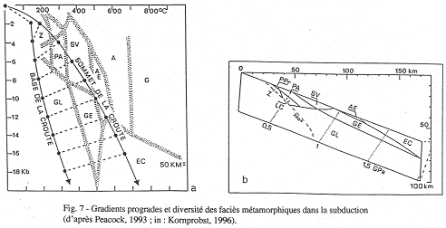 Gradients progrades et diversité des faciès métamorphiques dans la subduction (d'après Peacock, 1993 ; in Kornprobst, 1996)