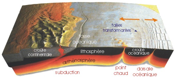 Fig.&nbsp;<i>VII.2: la tectonique des plaques et ses éléments essentiels</i>