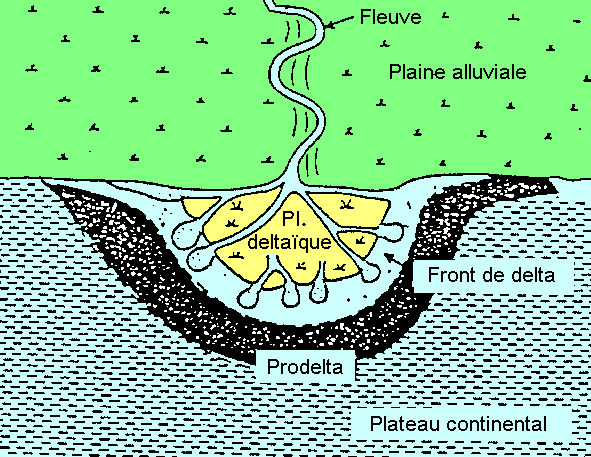Figure 1: Morphologie d'un delta