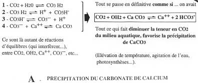 Précipitation du carbonate de calcium&nbsp;