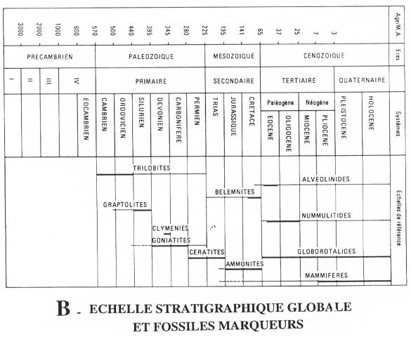Échelle stratigraphique globale et fossiles marqueurs&nbsp;