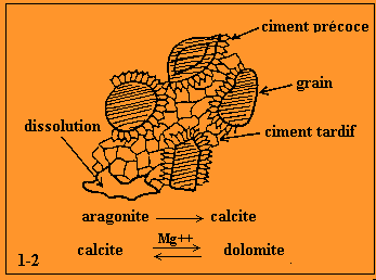 Figure 2:&nbsp;Diagénèse des roches carbonatées