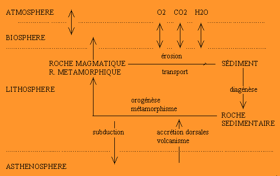 Figure 4:&nbsp;Mouvement de matière au niveau de l'écorce