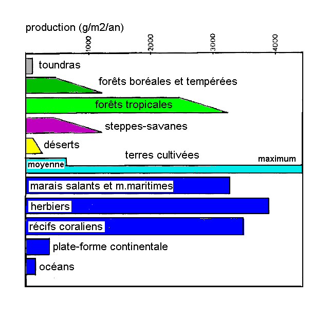 Figure 2:&nbsp;Productions annuelles comparées de matière organique dans divers milieux
