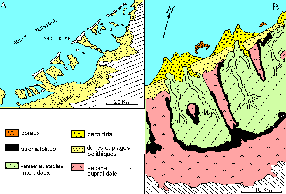 Figure 5:&nbsp;(A) la "Côte des Pirates" au sud du Golfe Persique. (B) détail: la lagune et la sebkha d'Abu Dhabi