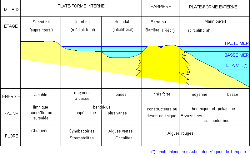 Figure 1:&nbsp;zonation d'un littoral à sédimentation carbonatée