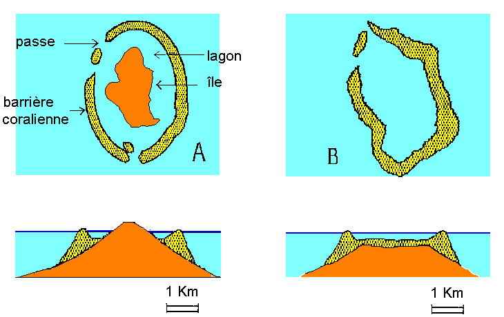 Figure 2:&nbsp;Formation d'un atoll. (A) cas actuel de l'île d'Uvea ; (B) cas de l'île de Tongareva (Polynésie).