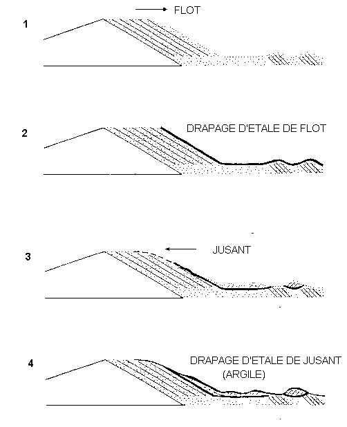 Figure 4:&nbsp;Formation classique des couplets de marée dans un chenal: alternance d'une maine grossière de flot et d'une lamine fine de jusant