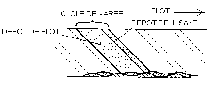 Figure 5:&nbsp;disposition des couplets de marées dans un chenal tidal