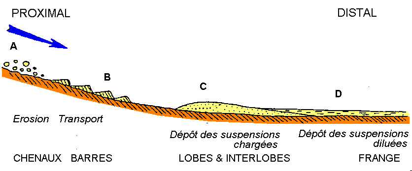 Figure 5:&nbsp;Répartition des faciès turbiditiques d'amont en aval d'un cône, d'après la nomenclature de Mutti et Ricci-Lucchi