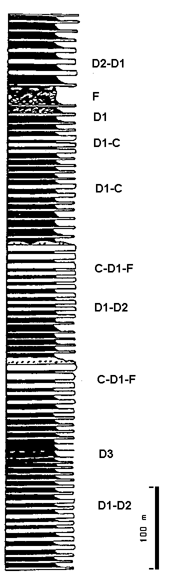 Figure 6:&nbsp;Exemple de série turbiditique ancienne (Carbonifère inférieur de la chaine hercynienne); les faciès turbiditiques sont subdivisés en C1, D2... Le faciès F désigne des zones désorganisées