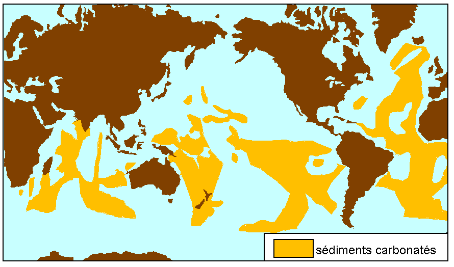 Figure 7:&nbsp;Répartition actuelle des sédiments océaniques carbonatés