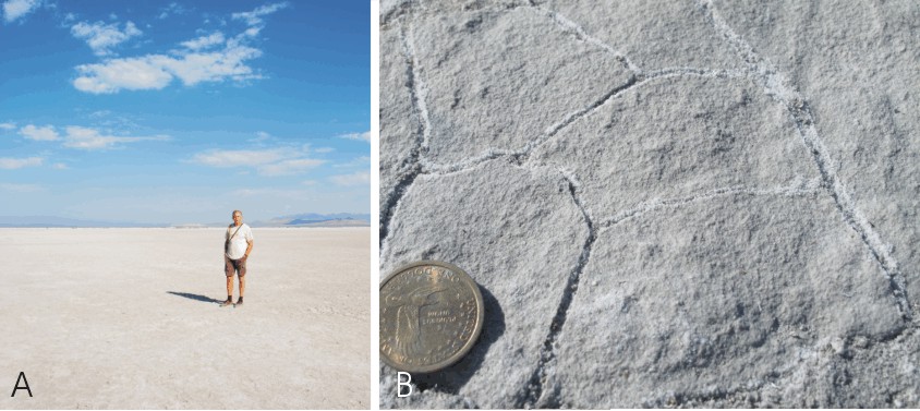 <i>Haloclastie (cristallisation de sel) d'une croûte calcaire en milieu évaporitique (B): Great Salt Lake, Utah, USA (A)</i>&nbsp;