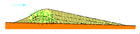 Figure 1:&nbsp;accumulation de sable en arrière d'un obstacle (ici, une touffe d'herbe)
