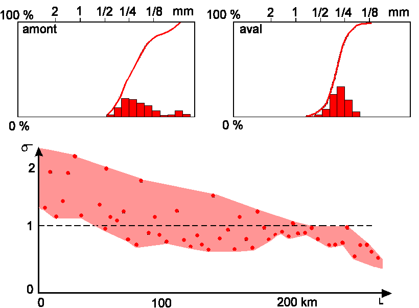Figure 10:&nbsp;histogramme de fréquence des tailles des grains d'un sable fluviatile et diminution de l'écart-type d'amont en aval; exemple d'un fleuve marocain