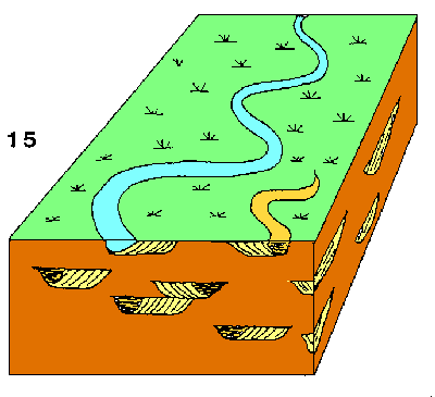 Figure 14:&nbsp;limons de plaine d'inondation; les lentilles sableuses correspondent aux positions successives des chenaux