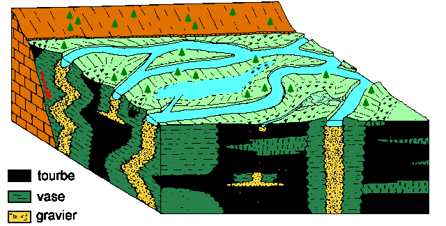Figure 17:&nbsp;Sédimentation d'une rivière anastomosée. Les berges sont stabilisées par la végétation et les chenaux se déplacent peu; ils déposent des graviers en barres à agradation verticale. La plaine d'inondation est trés humide; il s'y dépose des limons, des vases et de la tourbe
