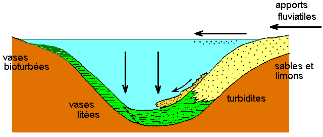 Figure 20:&nbsp;coupe schématique dans un lac oligotrophe