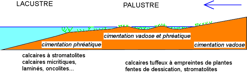 Figure 21:&nbsp;Milieux palustres et lacustres