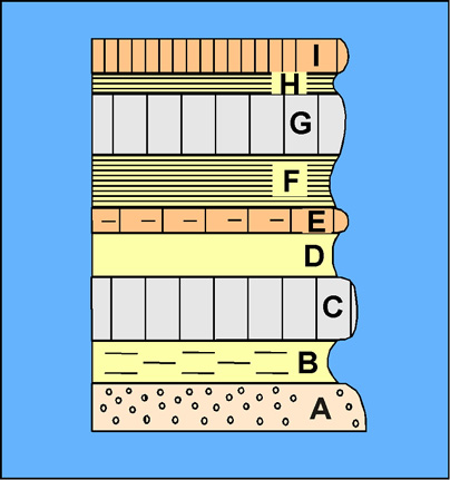 Figure 1; Principe de superposition