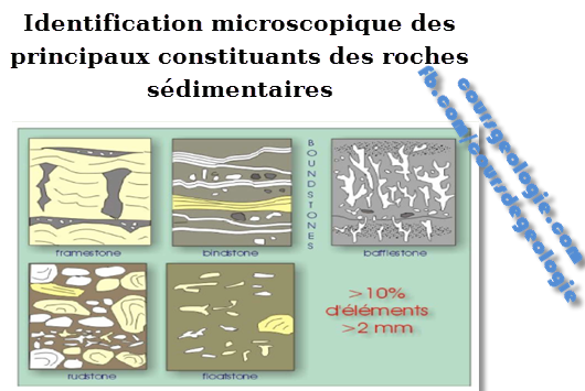 Identification microscopique des principaux constituants des roches sédimentaires