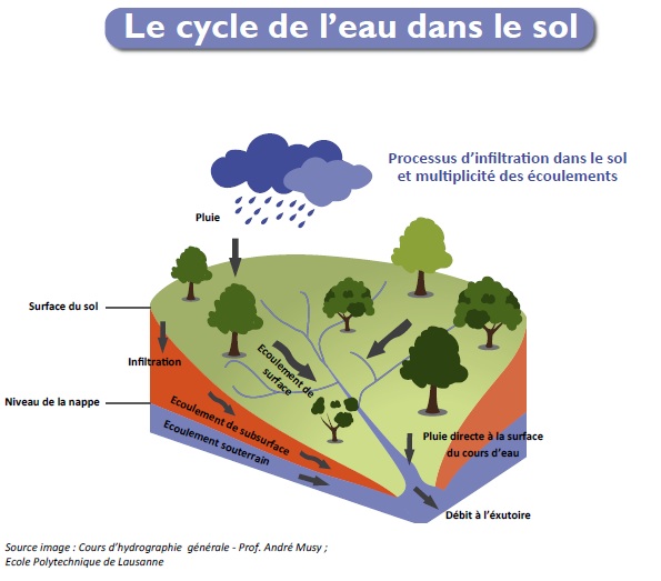 Les sols et le cycle de l'eau